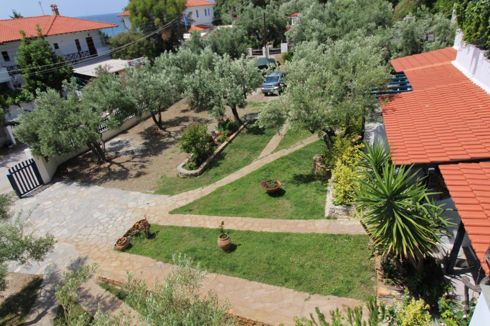 Apartmán Olive House Elia Nikitis Exteriér fotografie