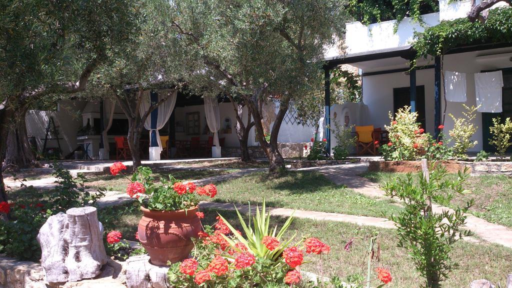 Apartmán Olive House Elia Nikitis Exteriér fotografie