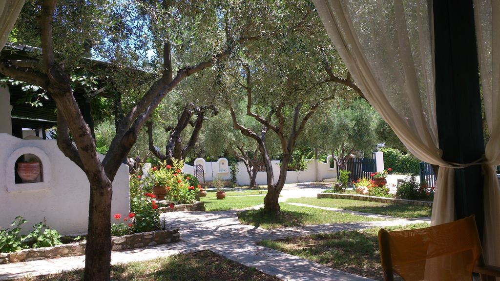 Apartmán Olive House Elia Nikitis Exteriér fotografie