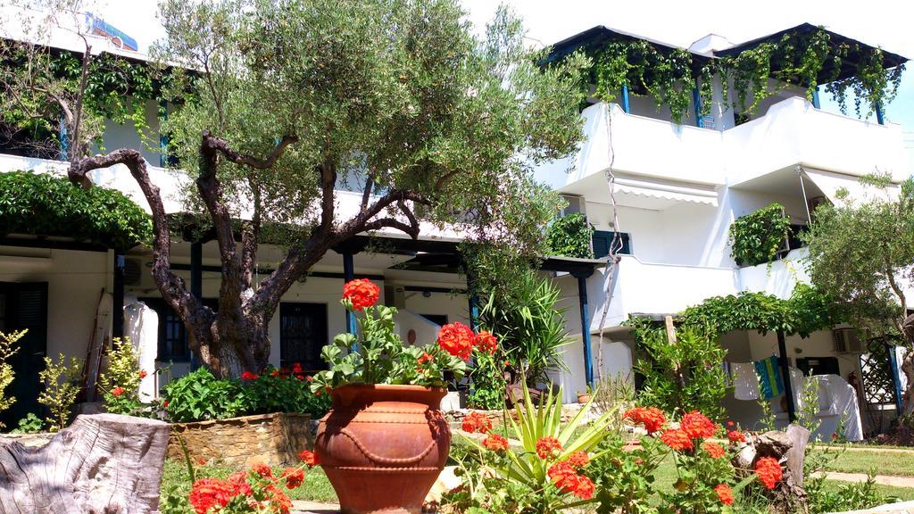 Apartmán Olive House Elia Nikitis Exteriér fotografie
