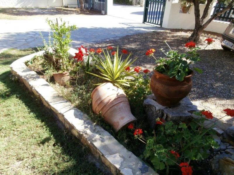 Apartmán Olive House Elia Nikitis Exteriér fotografie