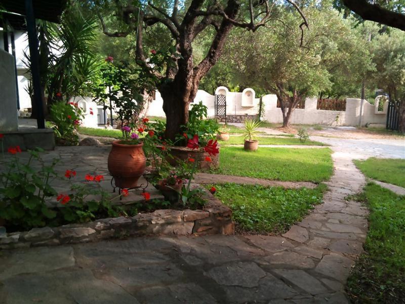 Apartmán Olive House Elia Nikitis Exteriér fotografie